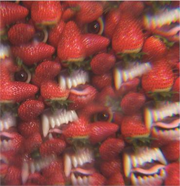 Post thumbnail of INTERVIEW: Petey Dammit of THEE OH SEES talks Floating Coffin, Dead Notes and High Guitars